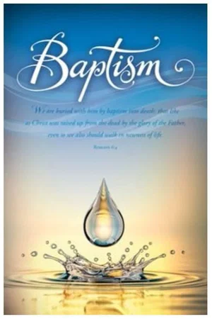 Bulletin- Baptism -Romans 6:4