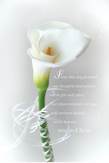 619-0582 Product Image 1