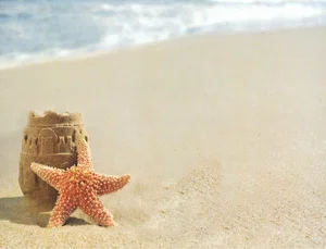 Summer at the Beach Attendance Chart