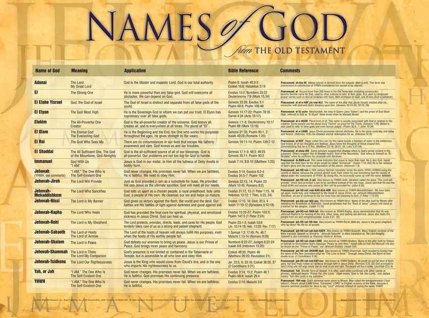 619-0879 Product Image 1