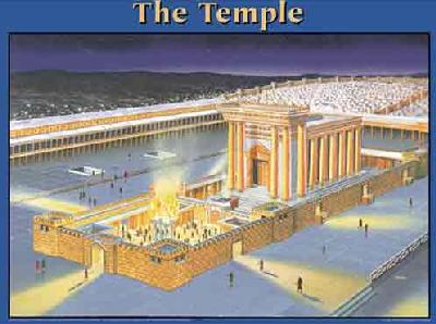 619-0894 Product Image 1