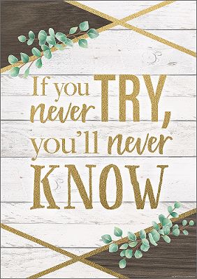 Positive Poster If You Never Try, You'll Never Know