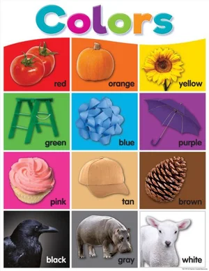 Colours Chart Colourful 17" x 22""