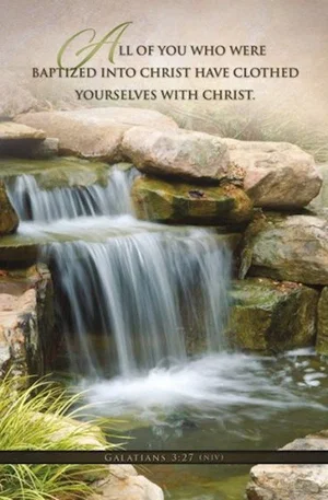 Bulletin - Baptized into Christ (Pack of 100)