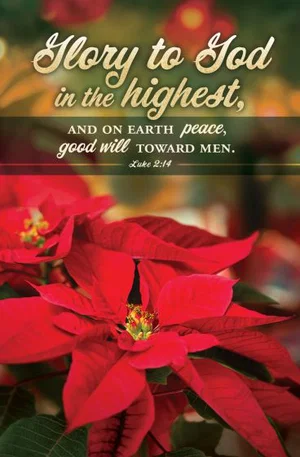 Bulletin Christmas-Glory to God in the Highest; Luke 2:14 (KJV)-Pkg 100