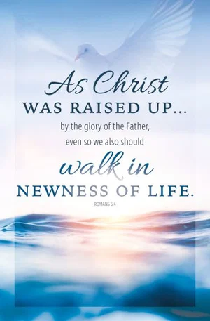 Bulletin- Baptism As Christ Was Raised Up