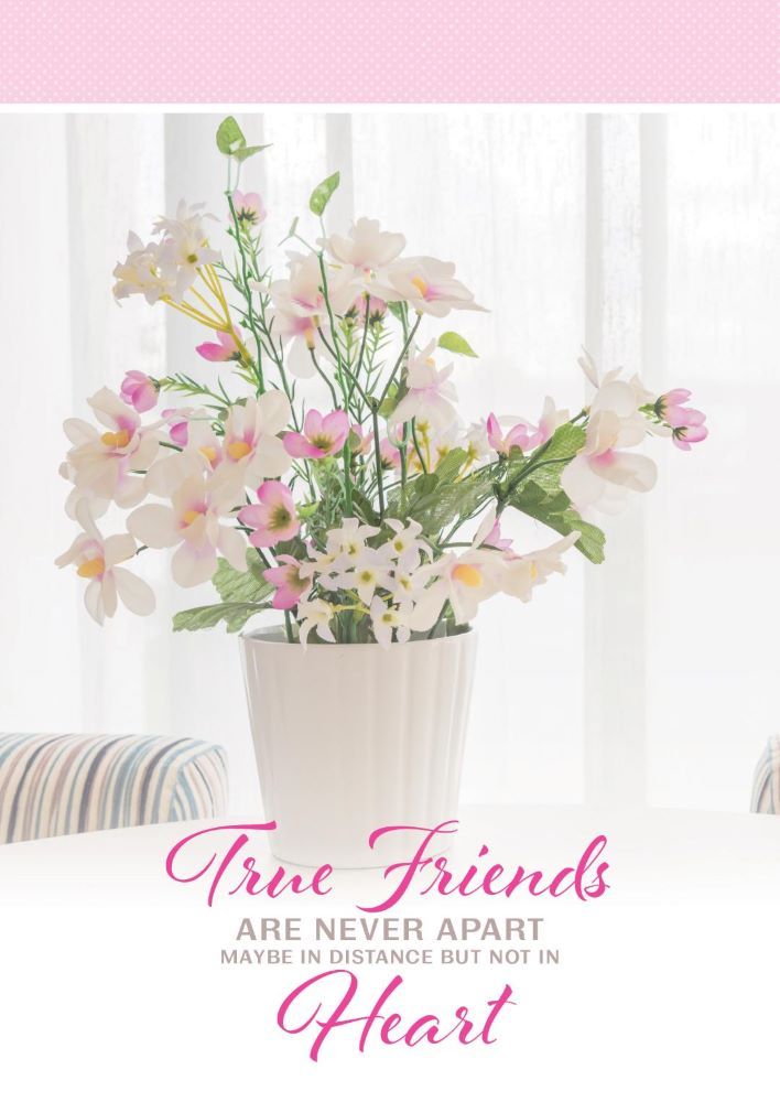 630-0079 Product Image 1