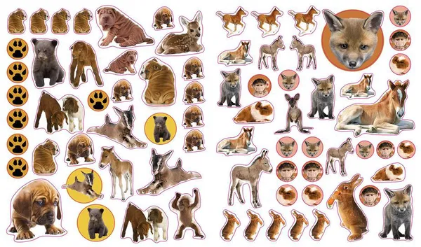 640-0007 Product Image 5