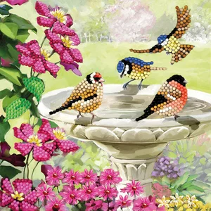 CA Card Kit: Birds
