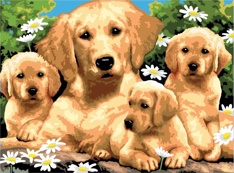 Image of Paint by Number | Golden Retriever Puppies