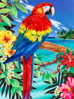 Paint By Number Scarlet Macaw - Junior Small