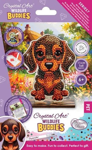 CA Buddies: Puppy
