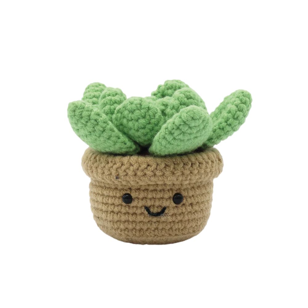 Succulent DIY Crochet Kit