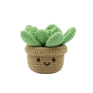 Succulent DIY Crochet Kit