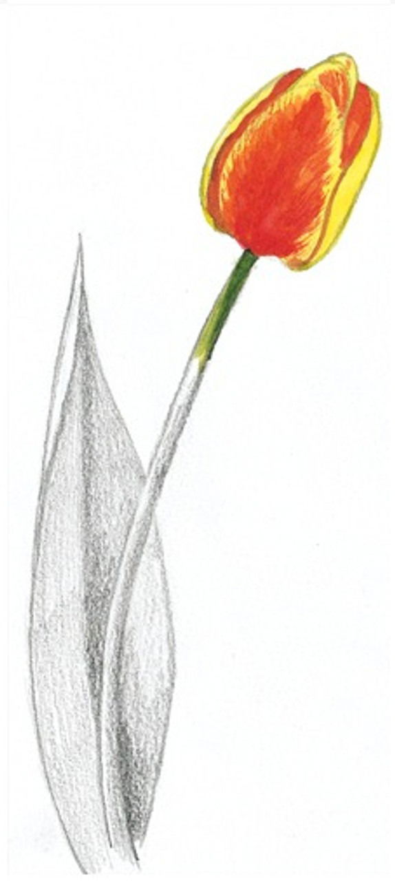 Product 640-1000 - View 4 640-1000 Product Image 4