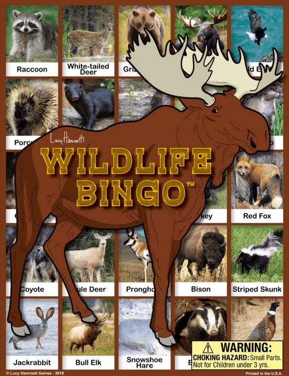 Image of Wildlife Bingo