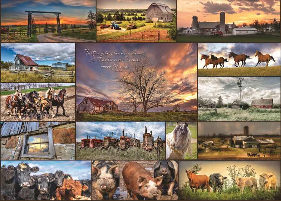 654-0035 Product Image 1