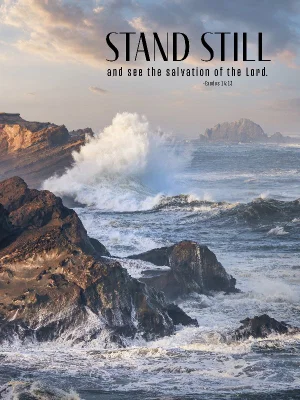 Stand Still- 1000pc Puzzle