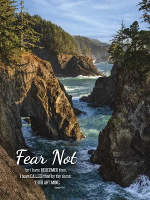 Fear Not- 1000pc Puzzle