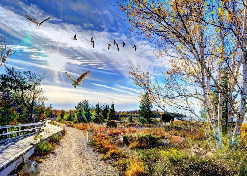 654-0157 Product Image 1