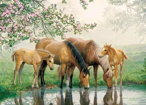 Watering Hole Tray Puzzle