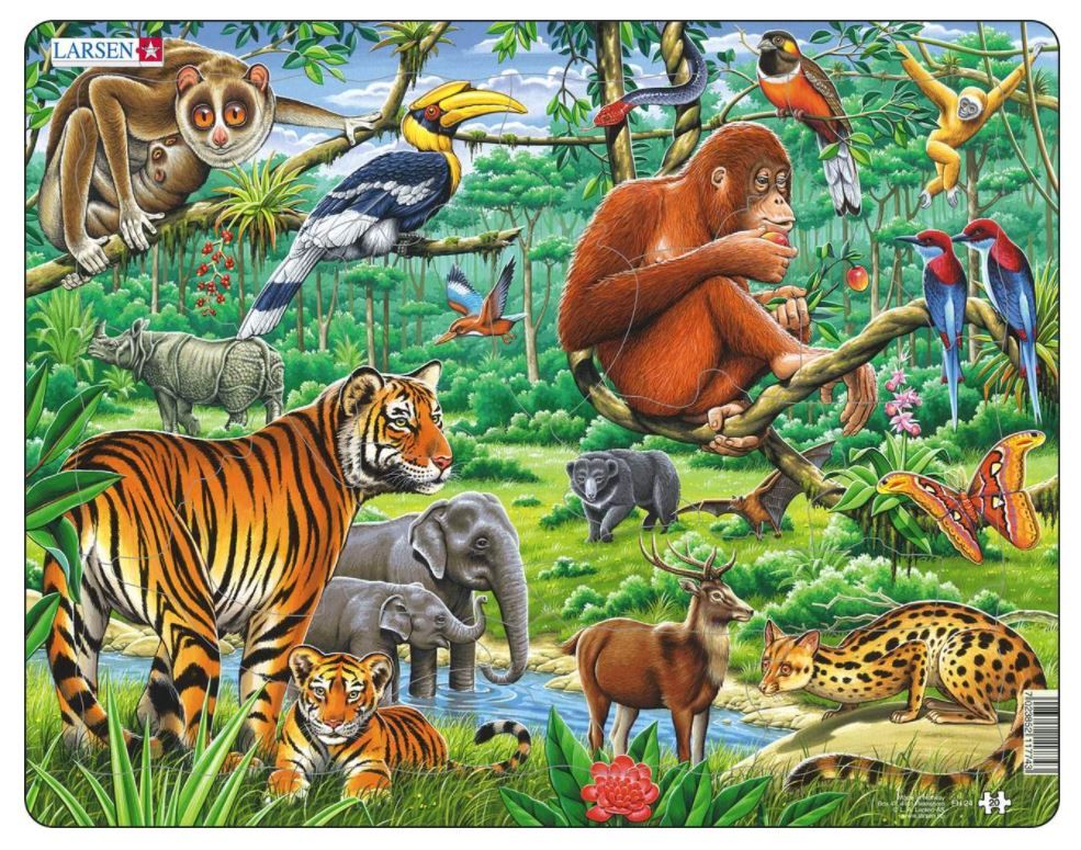 654-0221 Product Image 1