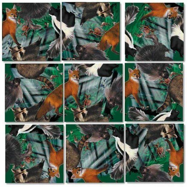 654-0244 Product Image 1