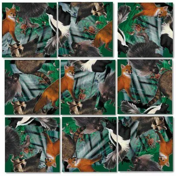 654-0244 Product Image 1