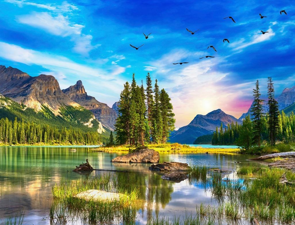 654-0256 Product Image 1