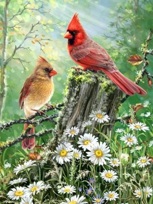 500 Pc Puzzle - Golden Light