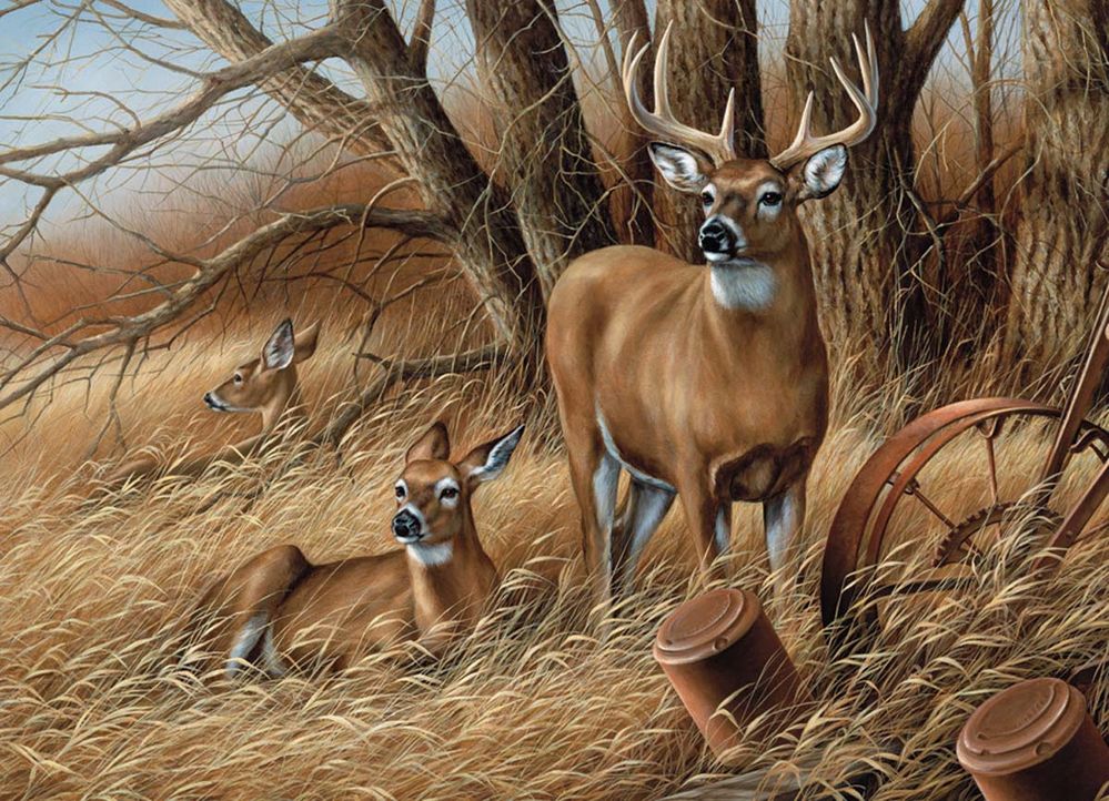 654-0306 Product Image 1