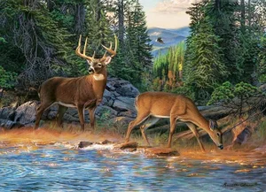 The River's Edge 1000 Pc