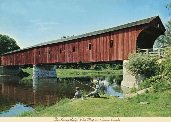 654-0356 Product Image 1