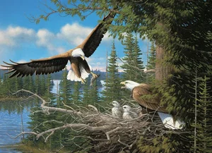 Puzzle Nesting Eagles 1000 pc