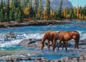 1000 Pc Puzzle - On the Rocks