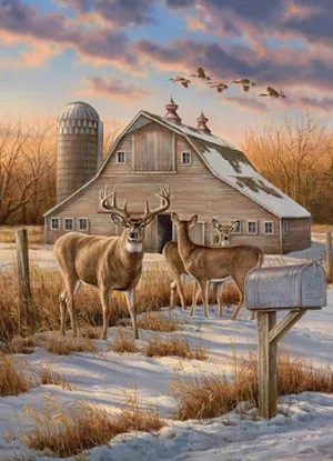 Rural Route Puzzle 1000 pc