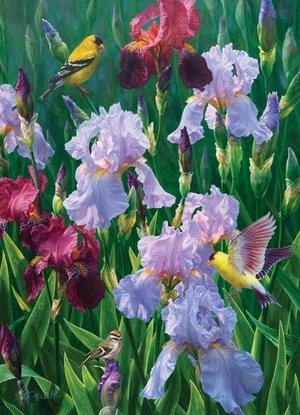 1000 Pc Puzzle - Spring Glory