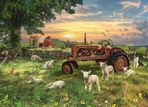 1000 Pc Puzzle - Field at Sunrise