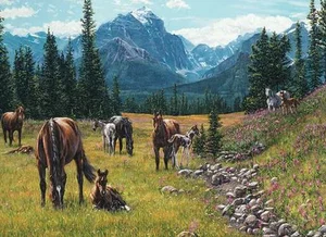 Puzzle Horse Meadow 1000 pc