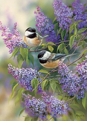 Puzzle Chickadees & Lilacs 1000 pc