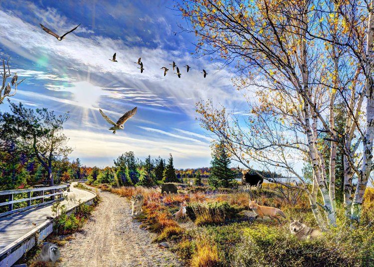 654-0663 Product Image 1