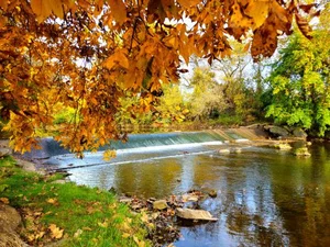 Puzzle Autumn Splendour 1000 pc