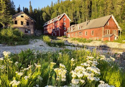 654-0696 Product Image 1