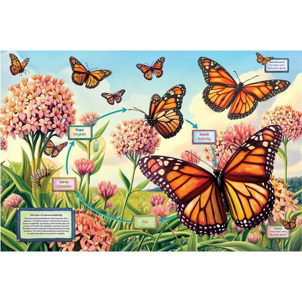 654-0722 Product Image 2