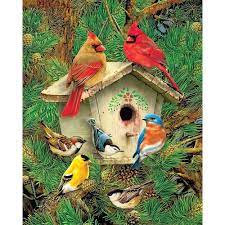 1000 Pc Puzzle - Feathered Retreat