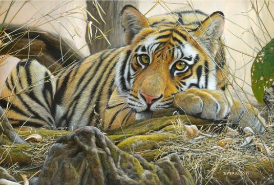 654-0843 Product Image 2