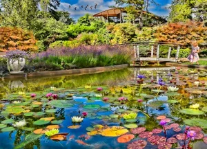 1000 Pc Puzzle Lily Pond