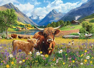 1000 Pc Puzzle - Highland Cows