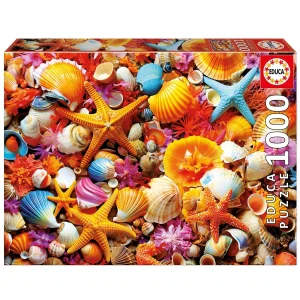 Educa 1000 Collage Of Shells
