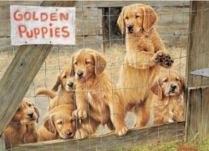 Product 654-1298 - View 2 654-1298 Product Image 2